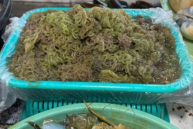 伝統的な美容食材「ロコット」